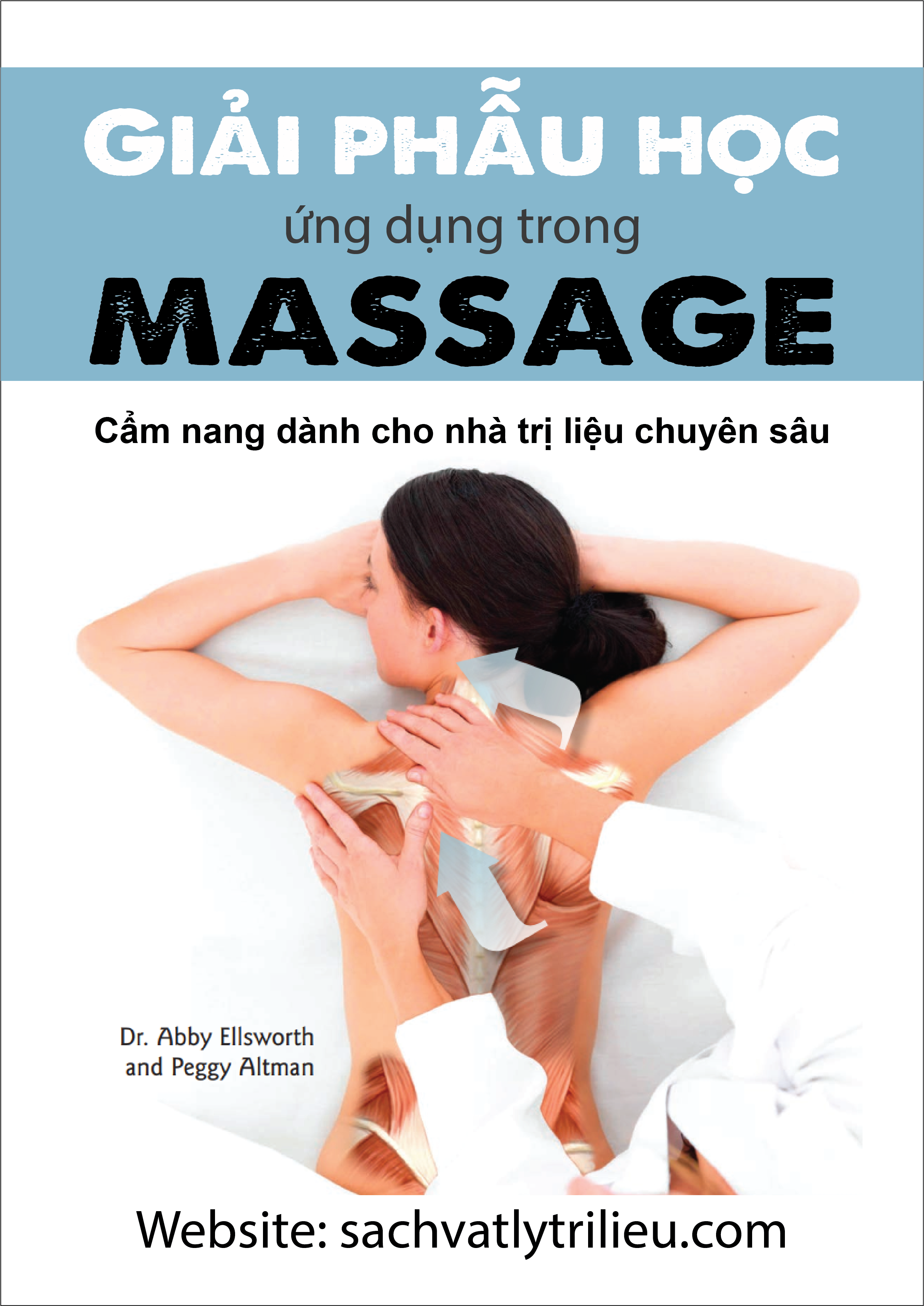 [VIP] Massage Anatomy a Comprehensive Guide